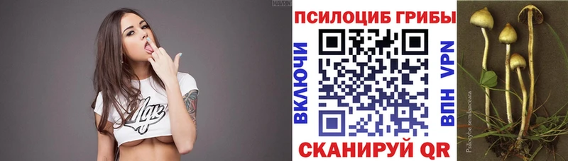 Псилоцибиновые грибы мицелий  Купить где  Городец 